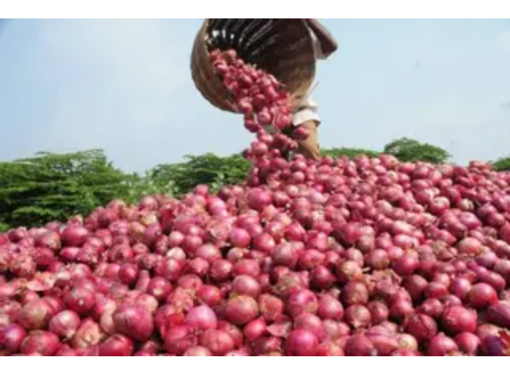 Onion Producers Suspend Supply To Southeast Over Insecurity
