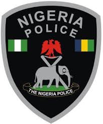  2023 Elections: Police Arrest Over 700 Persons On Charges Of Electoral Violence