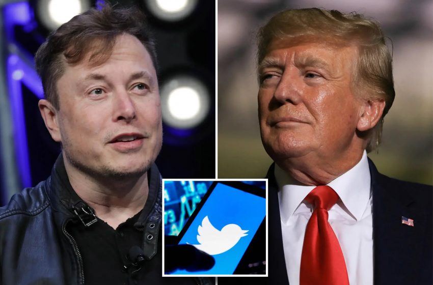  Elon Musk Denies Rumours He Was Talked Into Buying Twitter By Donald Trump
