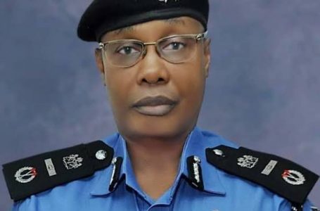 IGP Set To Launch e-Warrant Cards To Upgrade Police Officers Identification