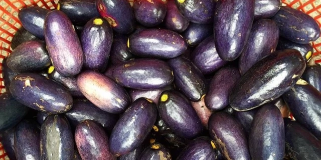  Health Benefits Of Ube (African Or Bush Pear)