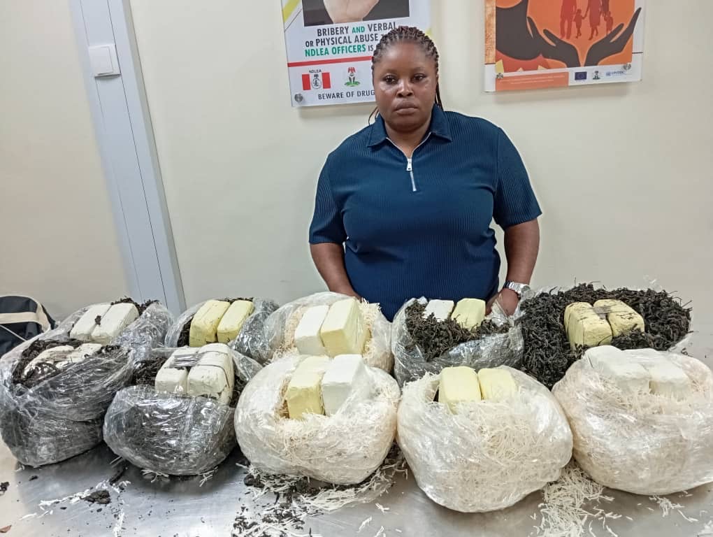 NDLEA Apprehends Woman Attempting To Smuggle Cannabis Disguised As ...