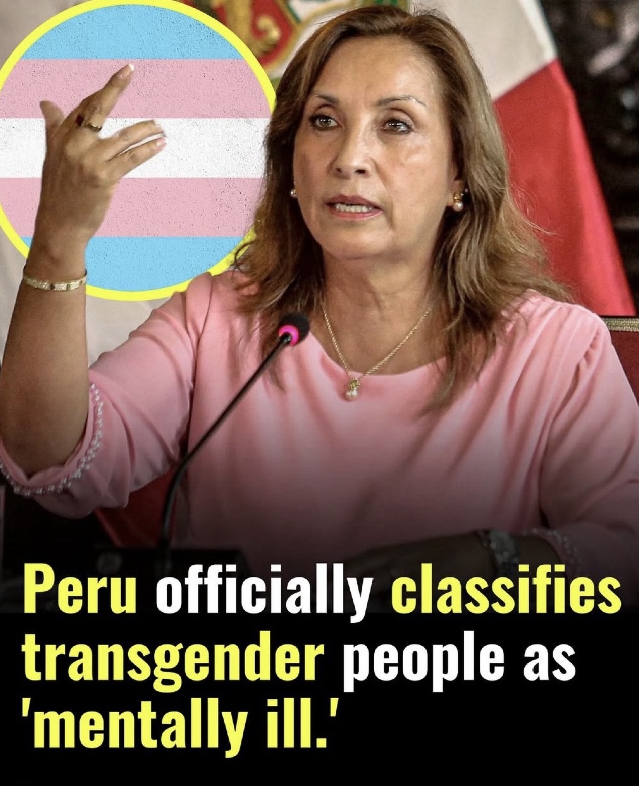 Peru Updates Health Policy To Classify Homosexuality As Mental Disorder